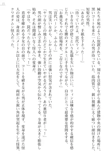 [Hinakuma - Ookuma Tanuki] Kaijin Hunter Riin Fhentai - Page 21