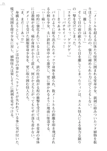 [Hinakuma - Ookuma Tanuki] Kaijin Hunter Riin Fhentai - Page 25