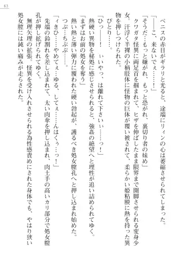 [Hinakuma - Ookuma Tanuki] Kaijin Hunter Riin Fhentai - Page 63