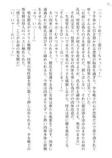 [Hinakuma - Ookuma Tanuki] Kaijin Hunter Riin Fhentai - Page 64