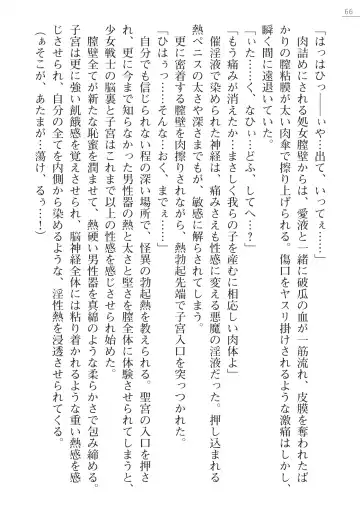 [Hinakuma - Ookuma Tanuki] Kaijin Hunter Riin Fhentai - Page 66