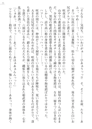 [Arai Yuu - Maruto] Samurai Slave Gaiden - Nikuetsu no Mesuinu Choukyou Fhentai - Page 35