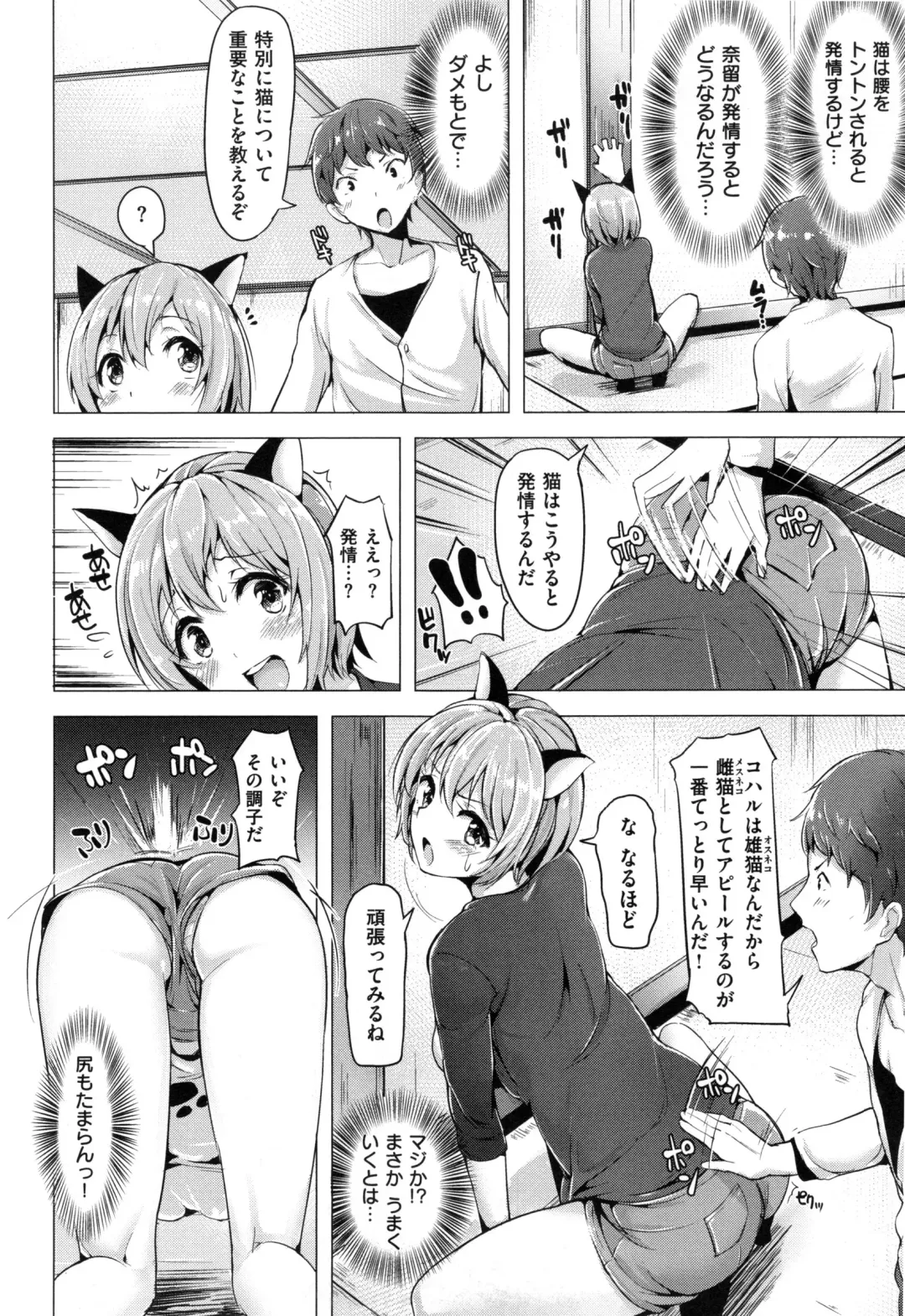 [Shiba Nanasei] Aigan Buffet - Petting Buffet - Fhentai - Page 207