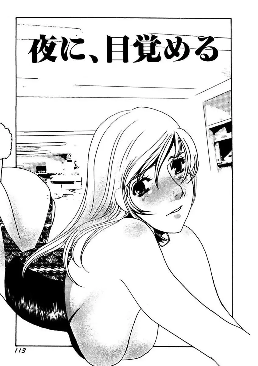 [Umino Yayoi] Kotobazeme ni Modaete Fhentai - Page 115