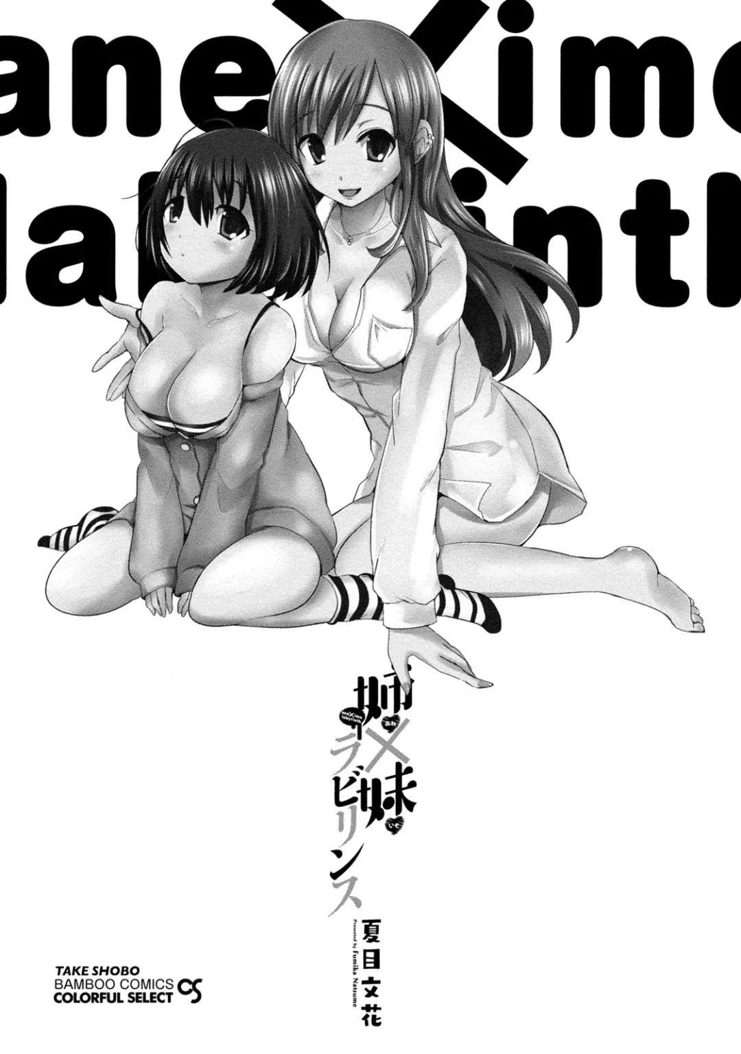 [Natsume Fumika] Ane x Imo Labyrinth Fhentai - Page 3